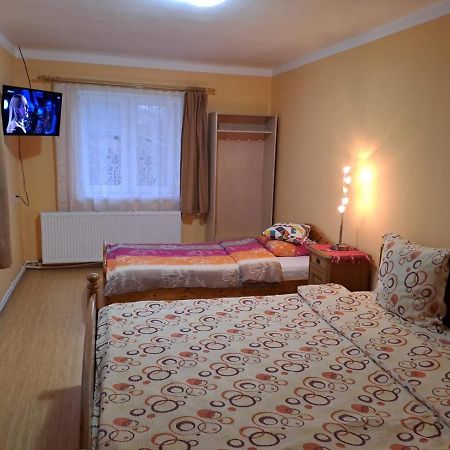 Casa Argentina Villa Cîrţişoara Екстериор снимка