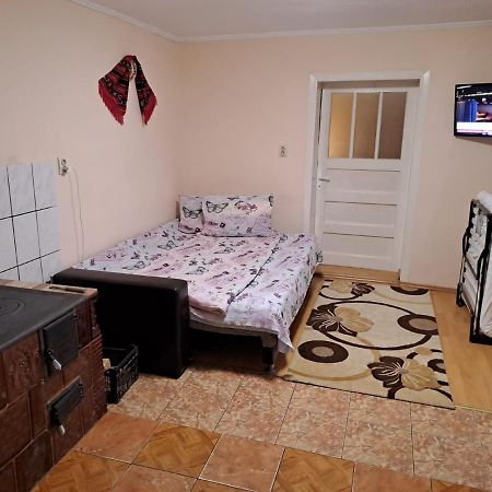 Casa Argentina Villa Cîrţişoara Екстериор снимка