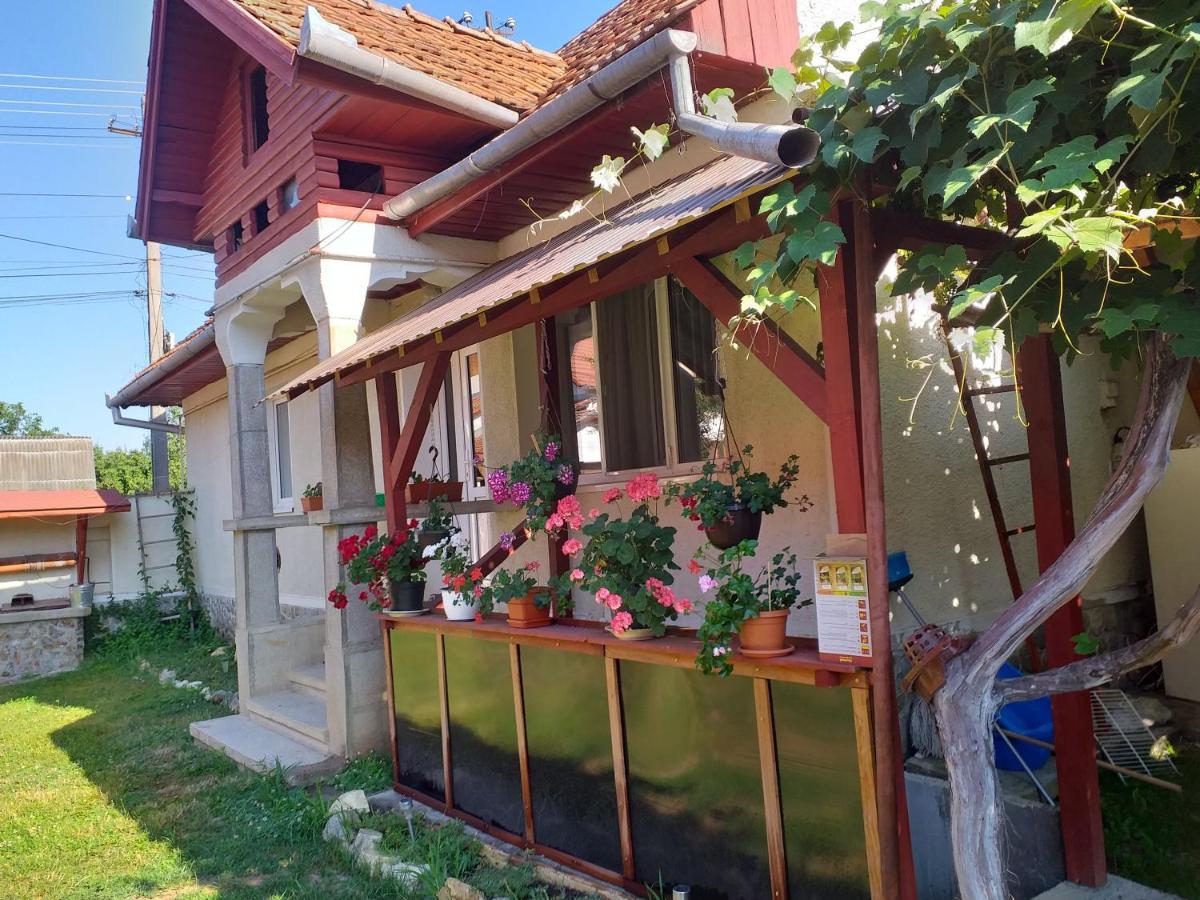 Casa Argentina Villa Cîrţişoara Екстериор снимка