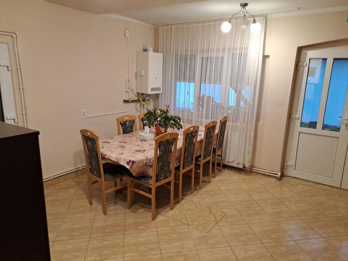 Casa Argentina Villa Cîrţişoara Екстериор снимка