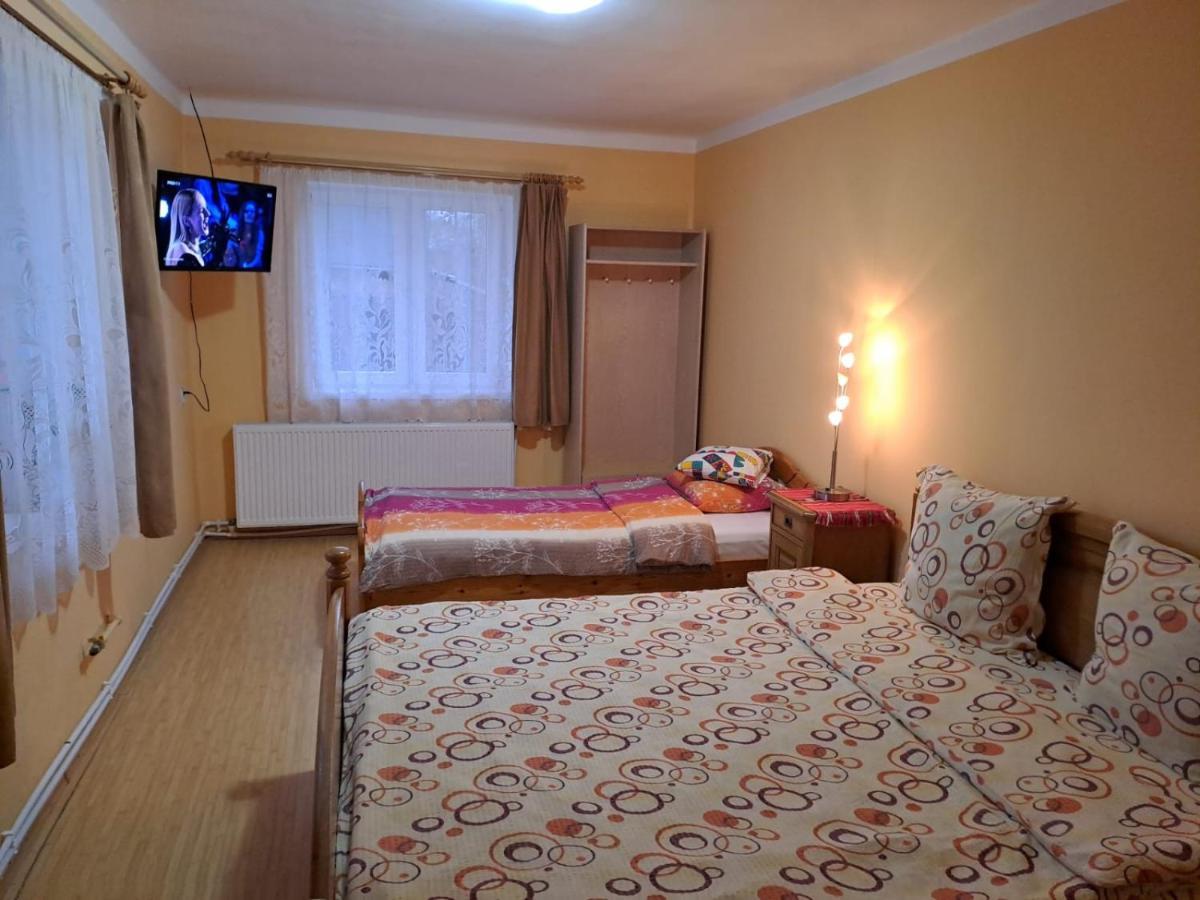 Casa Argentina Villa Cîrţişoara Екстериор снимка