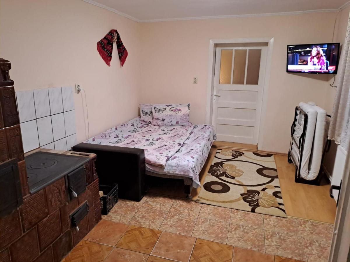 Casa Argentina Villa Cîrţişoara Екстериор снимка
