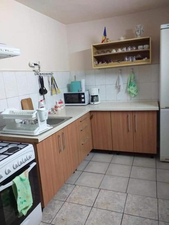 Casa Argentina Villa Cîrţişoara Екстериор снимка