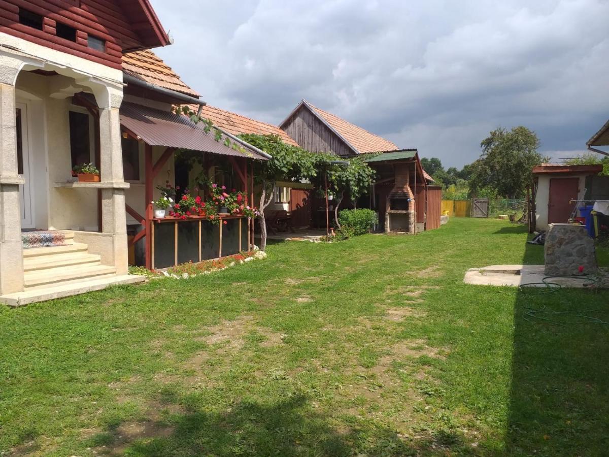 Casa Argentina Villa Cîrţişoara Екстериор снимка